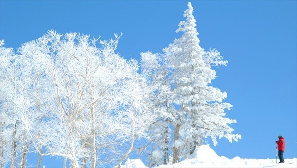 北海道キロロスノーボードレッスン中の写真